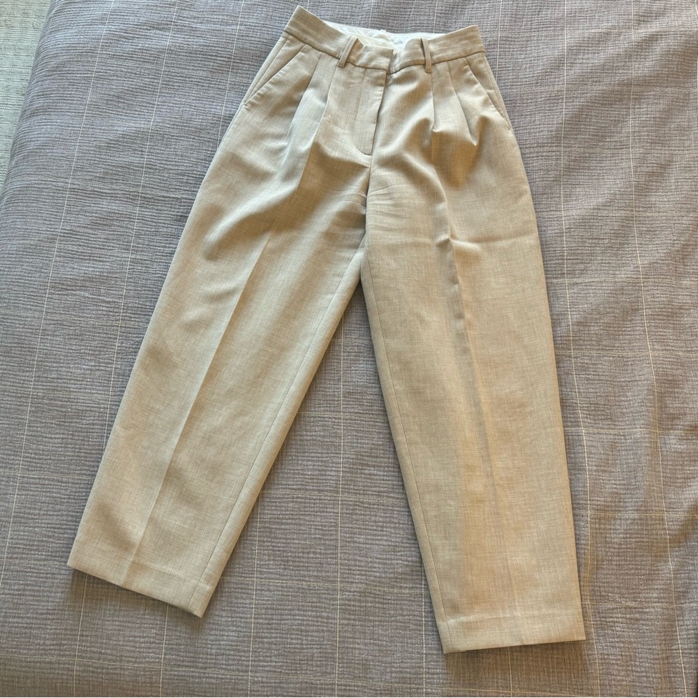 Aritzia Wilfried pants